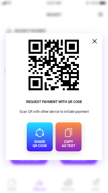 App Screenshot - Request with QR Code